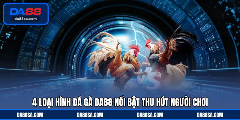 4 loại hình đá gà DA88 nổi bật thu hút người chơi