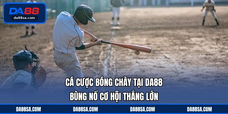 Cá Cược Bóng Chày