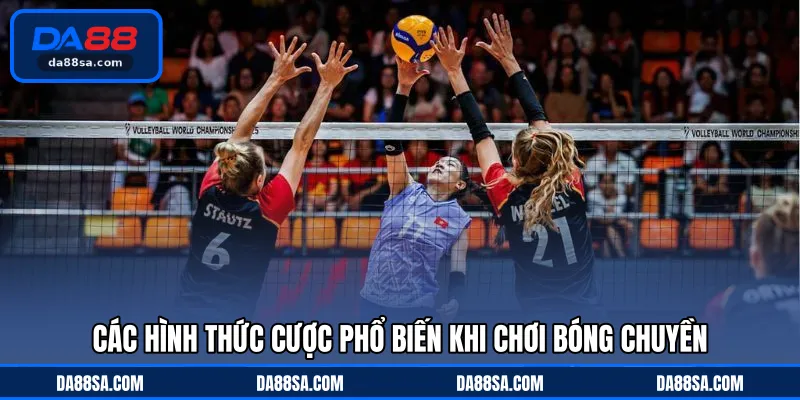 Các hình thức cược phổ biến khi chơi bóng chuyền