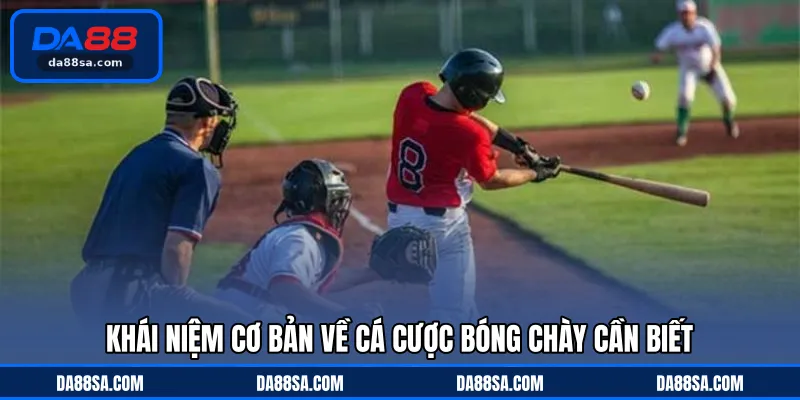 Khái niệm cơ bản về cá cược bóng chày cần biết