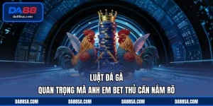 luật đá gà