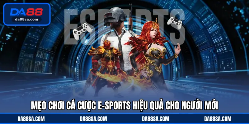 Mẹo chơi cá cược E-Sports hiệu quả cho người mới