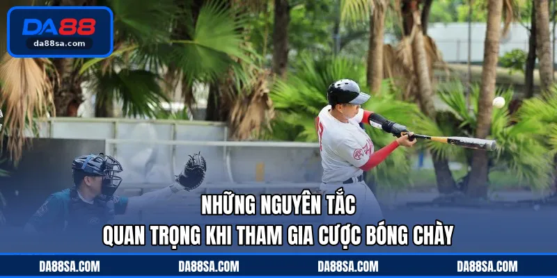 Những nguyên tắc quan trọng khi tham gia cược bóng chày