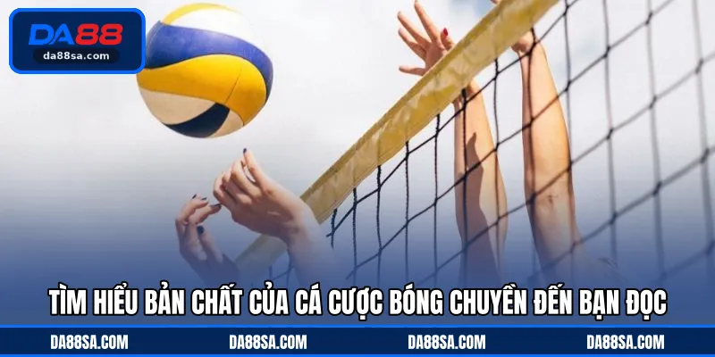 Tìm hiểu bản chất của cá cược bóng chuyền đến bạn đọc