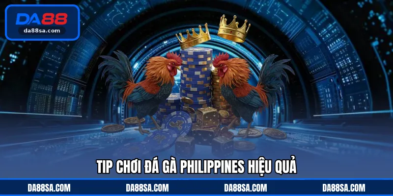 Tip chơi đá gà Philippines hiệu quả