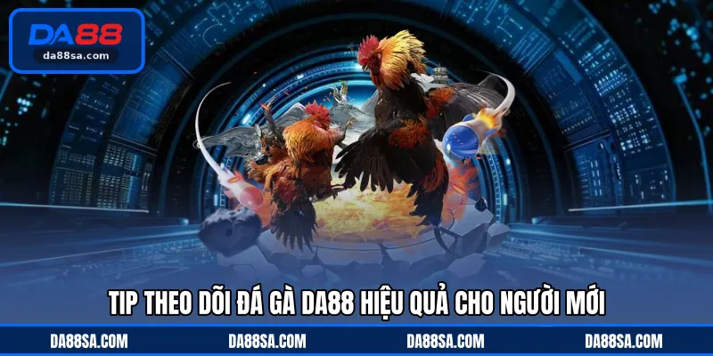 Tip theo dõi đá gà DA88 hiệu quả cho người mới